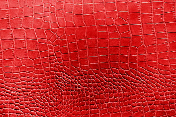 istock Red color texture pattern abstract background can be use as wall paper screen saver brochure cover page or for presentation background also have copy space for text. 830722056