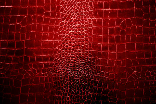 istock Red color texture pattern abstract background can be use as wall paper screen saver brochure cover page or for presentation background also have copy space for text. 830726554