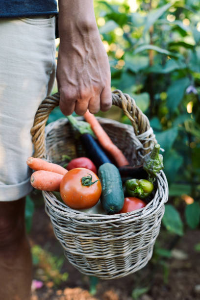 istock young man with a basket full of vegetables 830771524