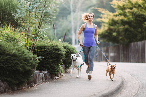 Woman Jogging With Dogs