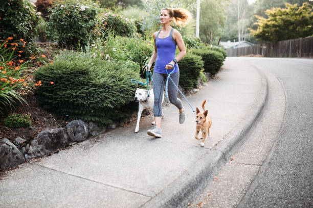 istock Woman Jogging With Dogs 830778982