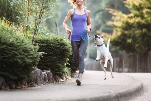 istock Woman Jogging With Dog 830778990