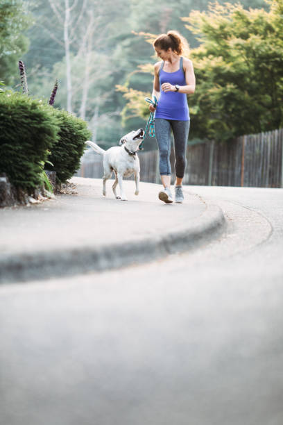 istock Woman Jogging With Dogs 830780932
