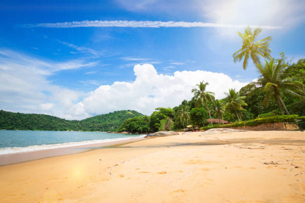 istock brazilian beach at the Paraty 830801378