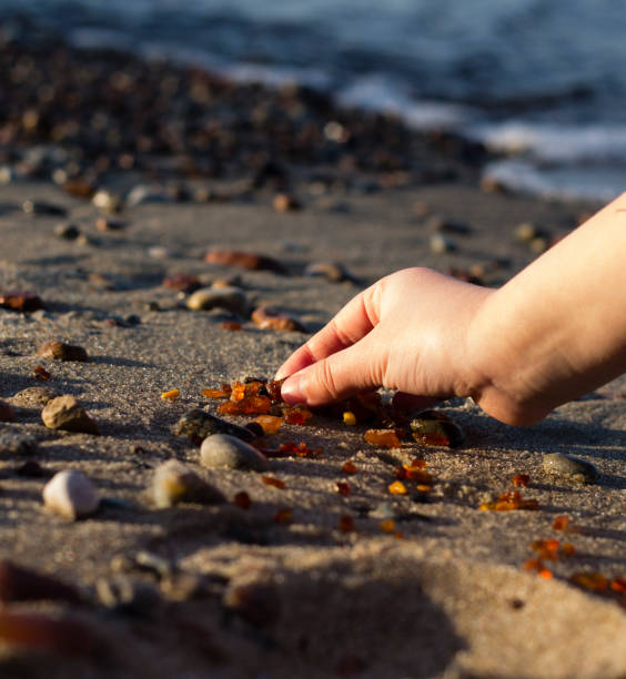 istock Some pieces of amber found on the Baltic seashore 830807100