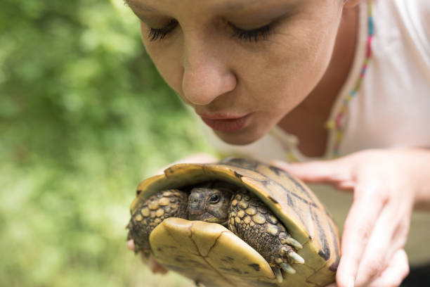 istock Smiling Woman Holding Turtle 830813428