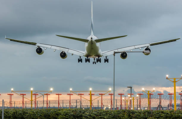 Evening landing Plane landing on the airport at the sunset time airplane landing stock pictures, royalty-free photos & images