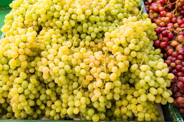 istock Fresh yellow grapes at the market 830820852