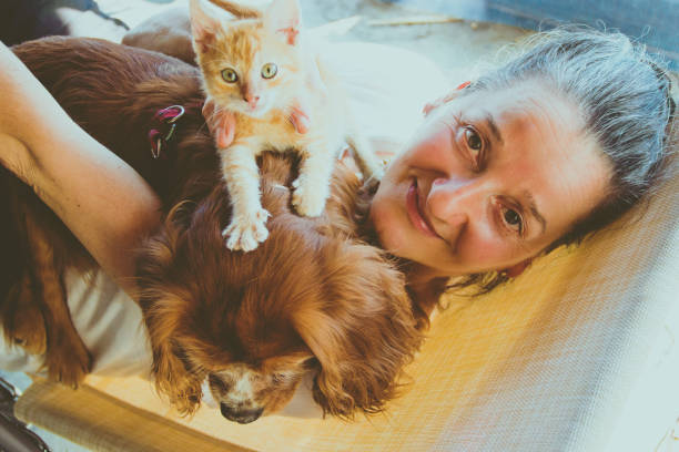 istock Senior woman with her cat at home relaxing 830821306