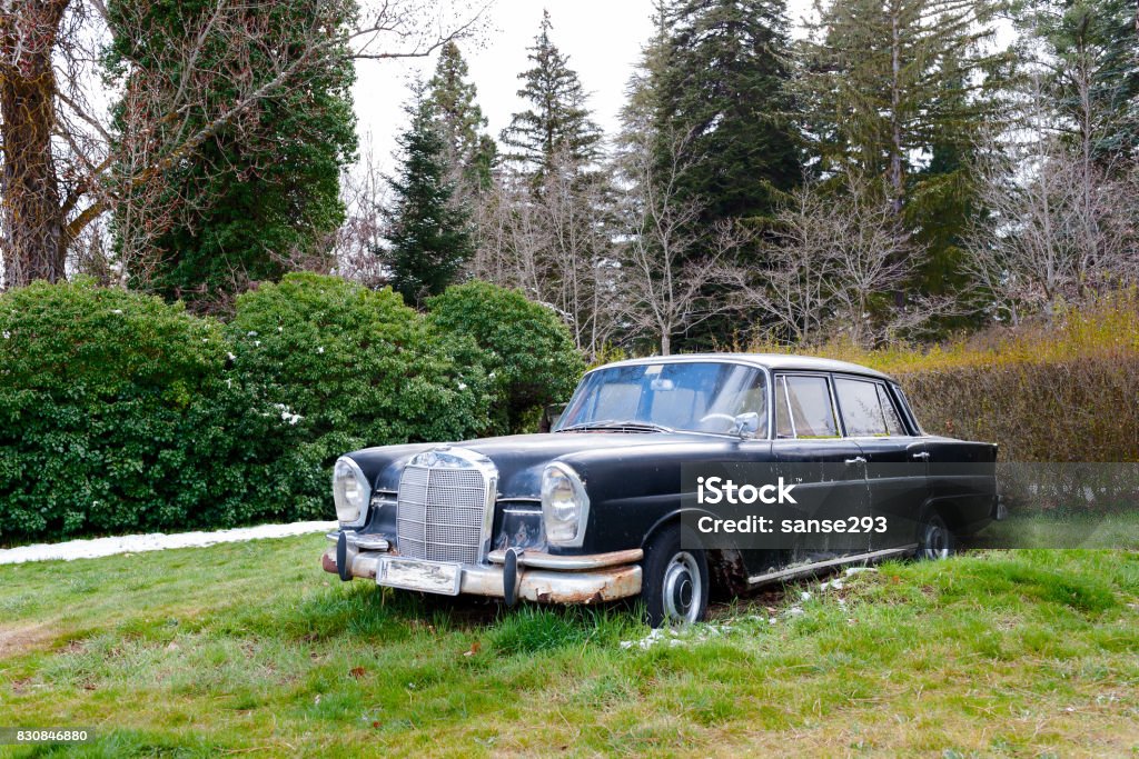 classic vehicle on the lawn in the foreground antique car abandoned in the field with traces of corrosion 50-59 Years Stock Photo