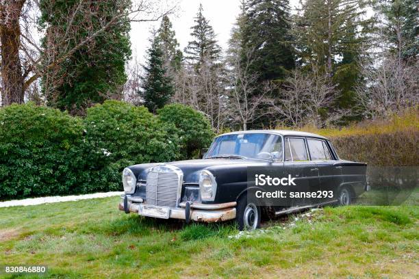 Classic Vehicle On The Lawn In The Foreground Stock Photo - Download Image Now - 50-59 Years, 60-69 Years, AZT