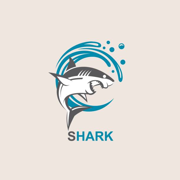 illustrations, cliparts, dessins animés et icônes de icône de requin en colère - natural pool fish sea water