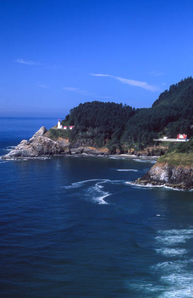 istock Heceta Head Lighthouse on the Oregon Coast 830848086