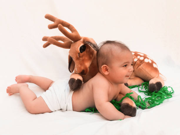 4 months old baby boy playing with soft toy dear and chick