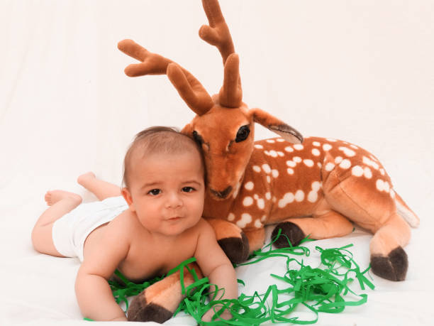 4 months old baby boy playing with soft toy dear and chick