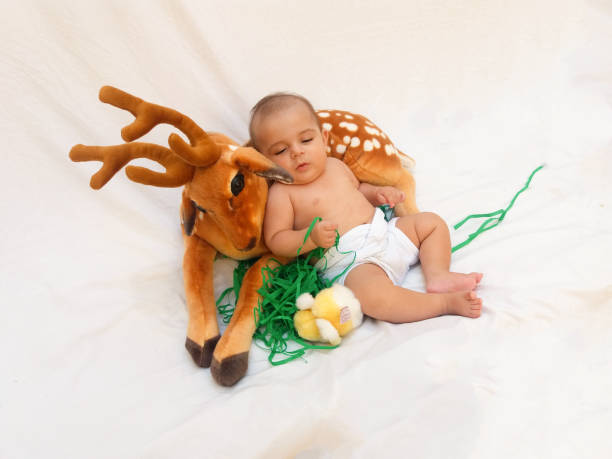 4 months old baby boy playing with soft toy dear and chick