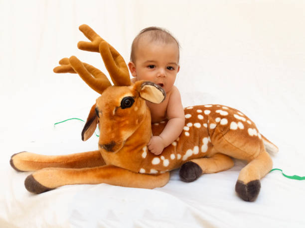 istock 4 months old baby boy playing with soft toy dear and chick 830858678