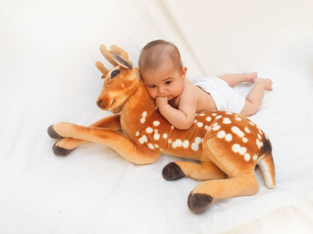 istock 4 months old baby boy playing with soft toy dear and chick 830860168