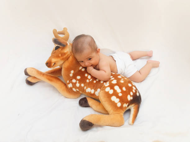 istock 4 months old baby boy playing with soft toy dear and chick 830861792
