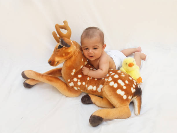 istock 4 months old baby boy playing with soft toy dear and chick 830862166