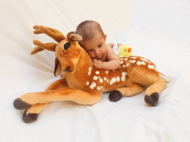 istock 4 months old baby boy playing with soft toy dear and chick 830862508