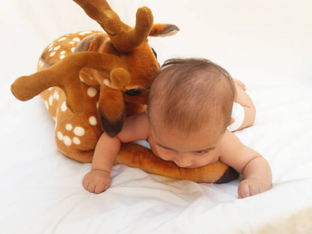 istock 4 months old baby boy playing with soft toy dear and chick 830862664