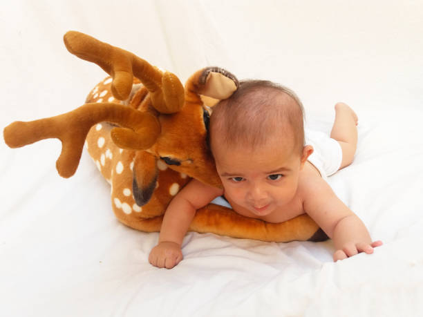 istock 4 months old baby boy playing with soft toy dear and chick 830862902