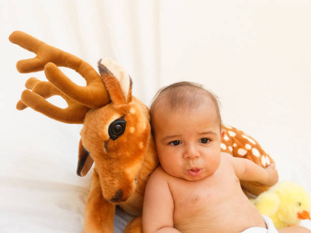 istock 4 months old baby boy playing with soft toy dear and chick 830862920