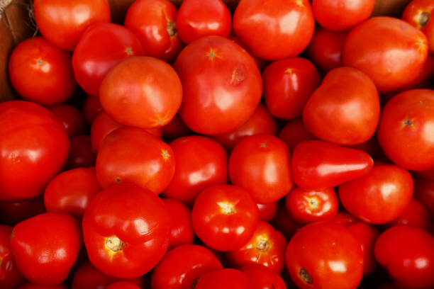 istock tomato raw close up background photo 830949298