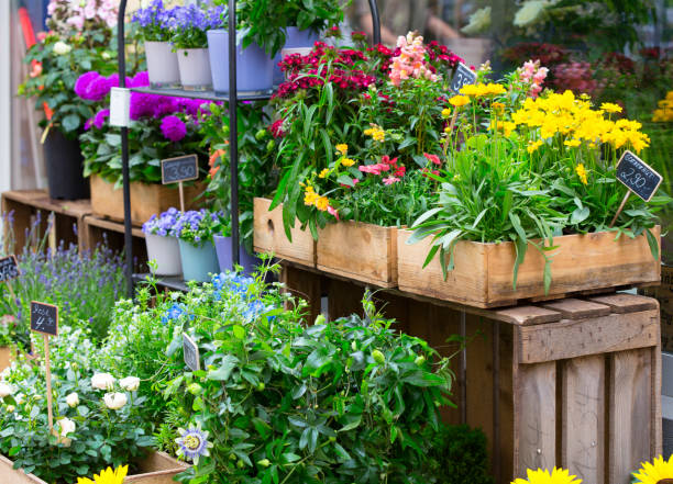 istock show-case of flower shop 830963506