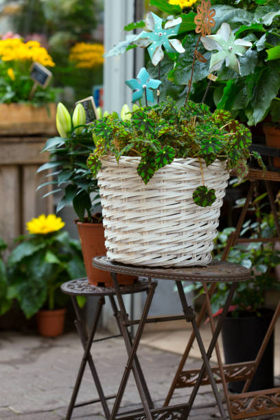 istock show-case of flower shop 830963518