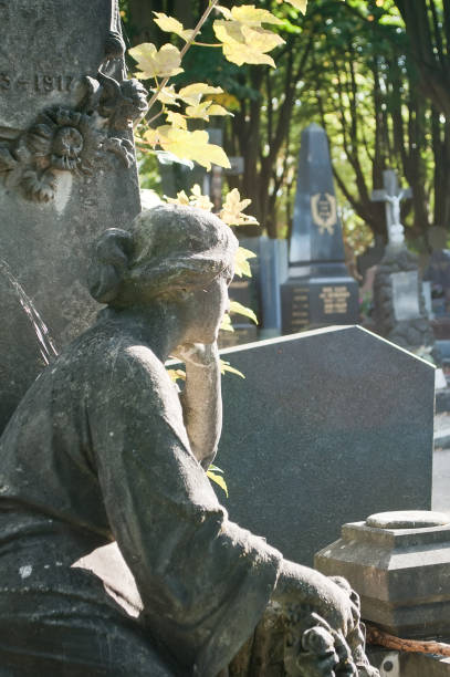 istock stoned angel in cemetery on a tomb 830976840