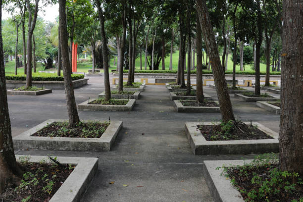 istock Park planted trees in pots made from cement. 830981822