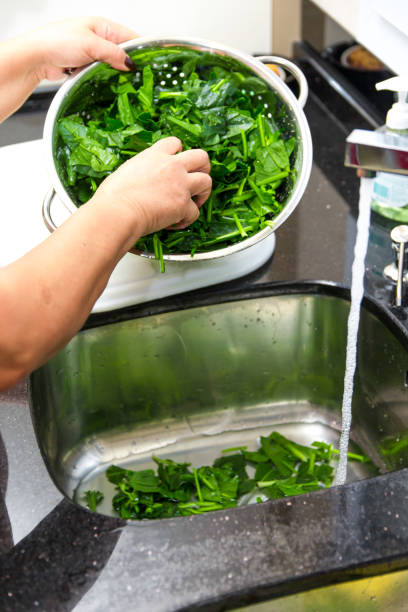 istock Spinach, The legend of the high iron content 830984786