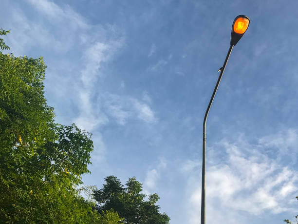 istock lamp pole in the park at evening 830985416