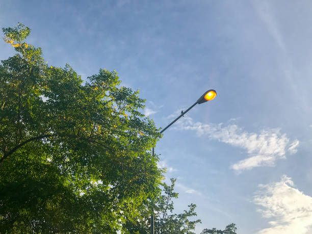 istock lamp pole in the park at evening 830985438