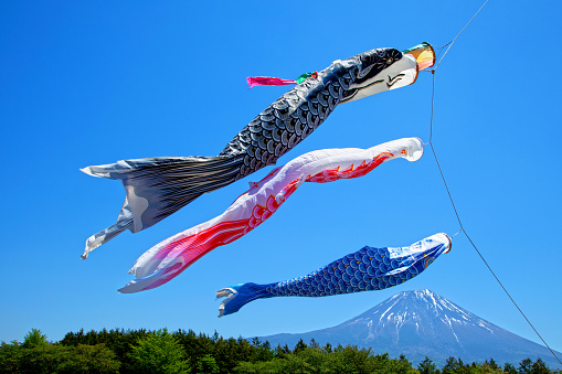 Koinobori or traditional Japanese children's Carp Kites at the Asagiri Highlands near Mount Fuji in Japan on Children's Day Festival.