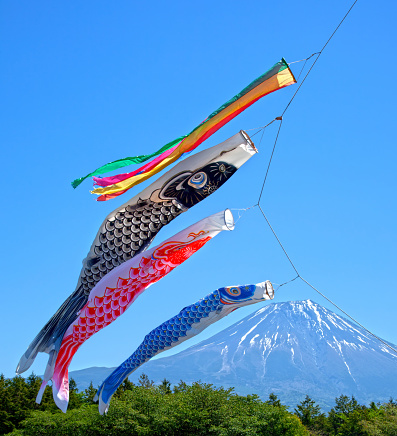 Koinobori or traditional Japanese children's Carp Kites at the Asagiri Highlands near Mount Fuji in Japan on Children's Day Festival.