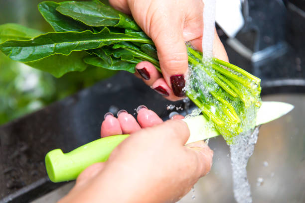 istock Spinach, The legend of the high iron content 830988410