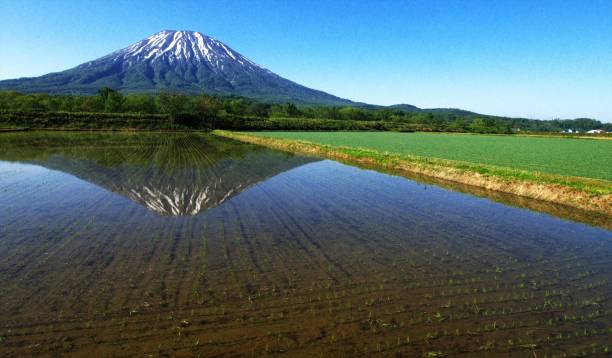 istock A wonderful Niseko in Hokkaido 830991590