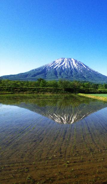 istock A wonderful Niseko in Hokkaido 830991596