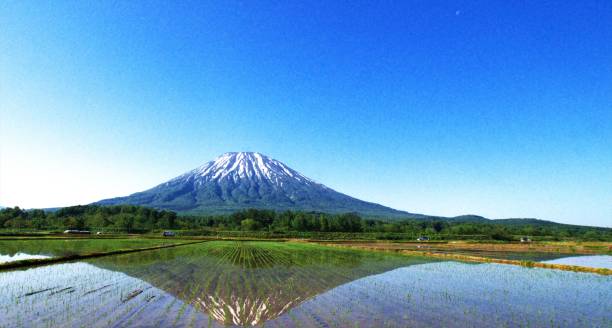 istock A wonderful Niseko in Hokkaido 830991702
