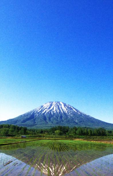 istock A wonderful Niseko in Hokkaido 830991716