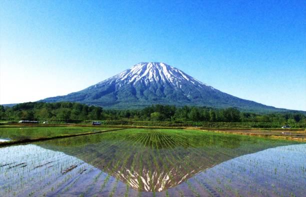 istock A wonderful Niseko in Hokkaido 830991726