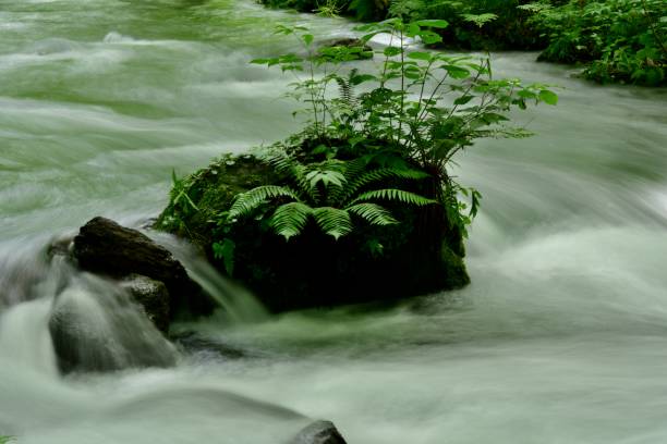 istock Oirase Mountain Stream, Aomori, Japan 830998718