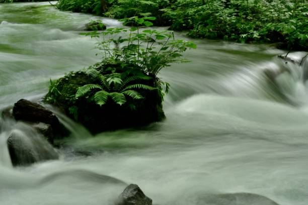 istock Oirase Mountain Stream, Aomori, Japan 830998728
