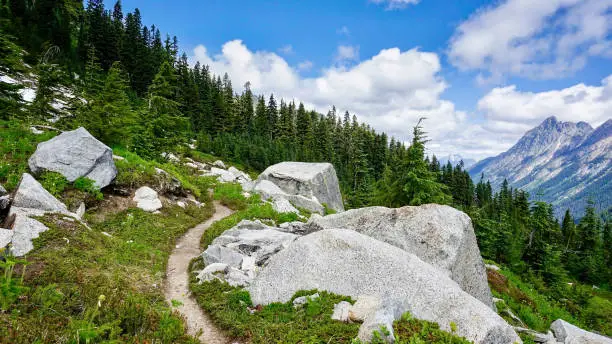 Enjoy ancient forest trees, tall mountains and cool, clear water while hiking between Holden and High Bridge, including a section of the Pacific Crest Trail in Glacier Peak Wilderness, Washington State, USA.