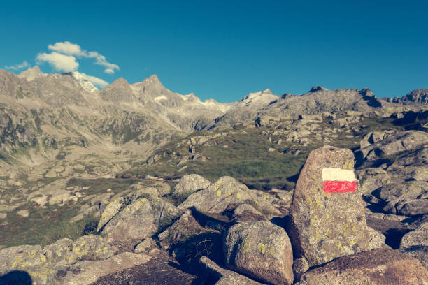 istock Trail sign along mountain trail. 831002174