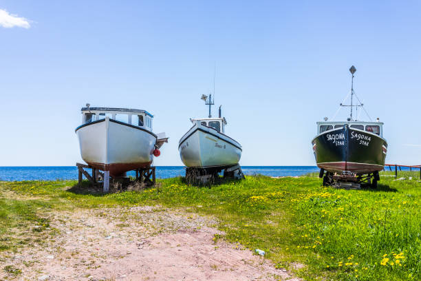 statki łodzie zaparkowane na ziemi w lecie przy molo na drewnianych platformach - marina lake nautical vessel water zdjęcia i obrazy z banku zdjęć