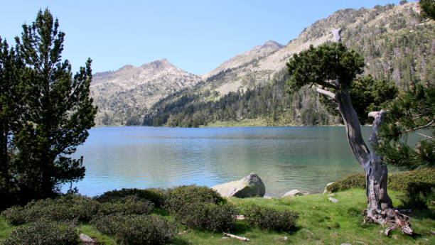 istock Neouvielle National Nature Reserve 831023436